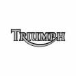 autoversicherung-triumph_20091223_1490766931